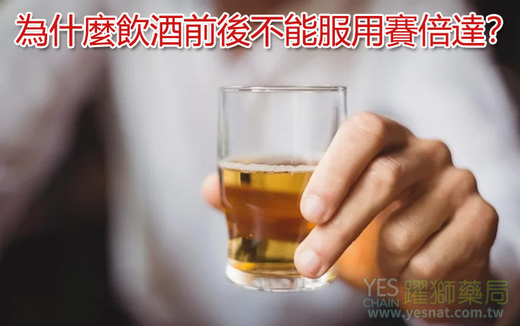 為什麼飲酒前後不能服用賽倍達? 為什麼飲酒前後不能服用賽倍達?