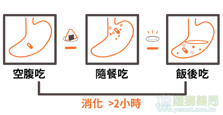 🏆 如何正確服用賽倍達? 🏆 如何正確服用賽倍達?